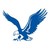 American Flyers logo