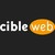 CibleWeb logo