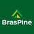 BrasPine logo