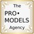 Model logo