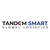 Tandem Smart Global Logistics logo