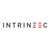 Intrinzec logo