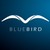 BLUEBIRD Consulting AG logo