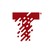 TegraGlobal logo