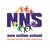 New Nation School logo
