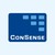 ConSense GmbH – Quality & Integrated Management Systems logo
