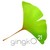 Gingko 21 logo