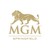 MGM Springfield logo