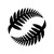 Logo di New Zealand Football