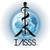 IASSS - International Association of Student Surgical Societies logo