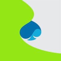 Capgemini Belgium logo