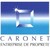 CARONET propreté logo