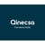 Qinecsa - formerly Insife logo