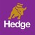 Hedge Equities Ltd logo