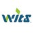WITS Corp. logo