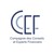 CCEF - Compagnie des Conseils et Experts Financiers logo