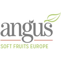 Angus Soft Fruits Europe logo