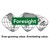 Foresight Group logo