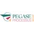 PEGASE processus logo