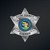 Cook County Sheriff’s Office logo