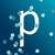 Protiviti Deutschland logo