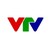 Vietnam Television logo