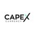 Capex Currency logo