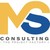 MS Consulting - The Project Factory ! logo