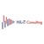 HiL-iT Consulting logo
