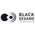 Black Sesame Technologies Inc logo