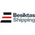 Besiktas Shipping logo