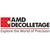 AMD DECOLLETAGE logo