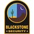 Blackstone Security Services, Inc. logo