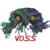 VDSS Logo