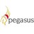 Pegasus Software logo