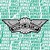 WINGSTOP UK (Lemon Pepper Holdings Ltd) logo