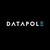 DATAPOLE logo