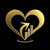 LifePlan Investments logo
