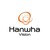 Hanwha Vision Europe logo