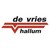 Internationaal Transportbedrijf De Vries & Zn BV logo