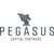 Pegasus Capital Partners GmbH logo