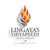 Lingaya's Vidyapeeth logo