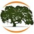 Encino Energy logo