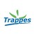 Ville de Trappes logo