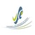 VFE logo