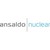 Ansaldo Nuclear logo
