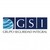 GSI GRUPO DE SEGURIDAD INTEGRAL S.A. DE C.V. logo