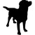 Dogged logo