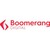 Playsafe Systems - A Boomerang Digital Company logo