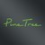 Pine Tree logo
